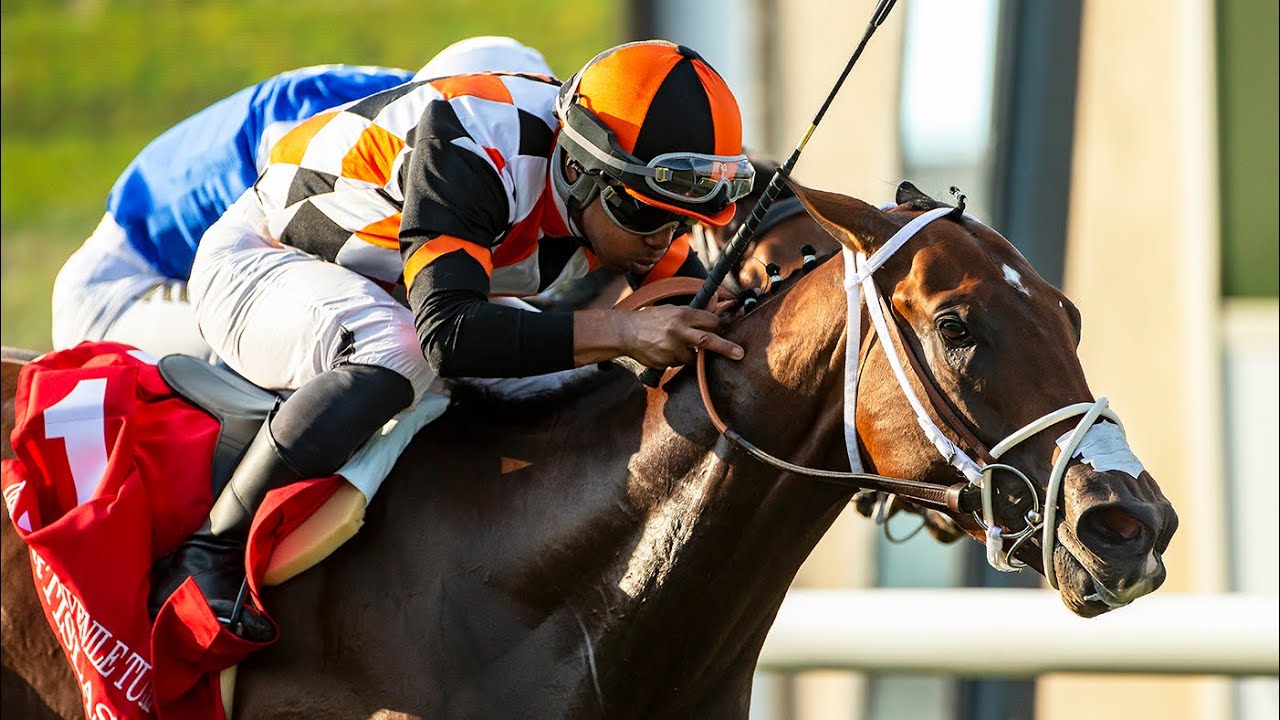 Artislas Wins the 2024 Del Mar Juvenile Turf