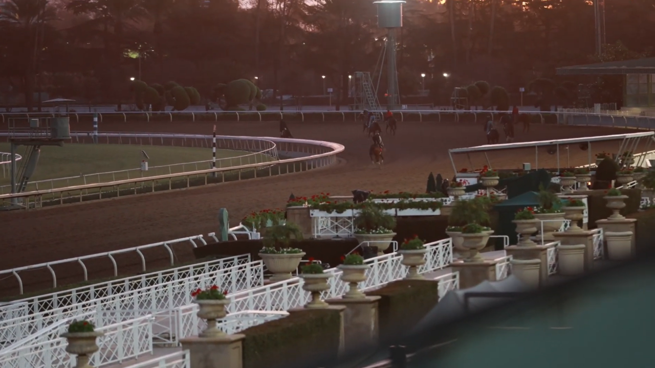  Intrepido Working 1-17-26