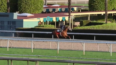  Queen Maxima Working 2-23-26