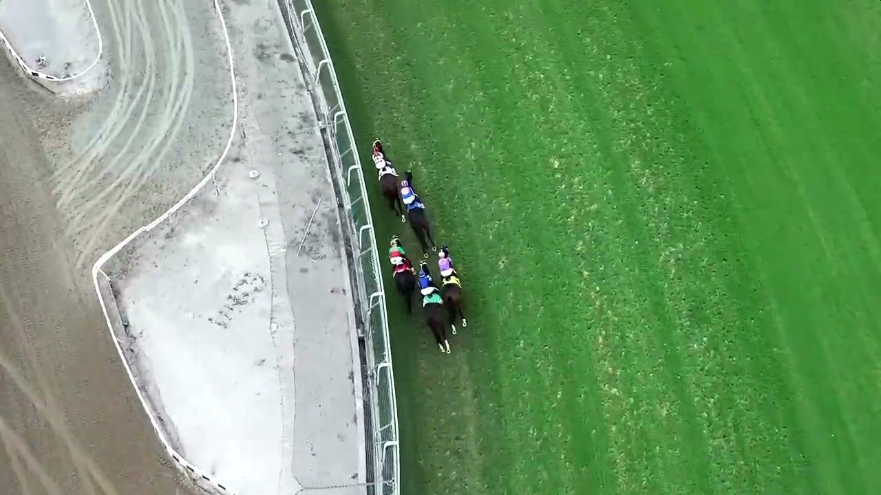 Drone Footage - Artislas Wins Race 3 on Saturday, October 17, at Santa Anita Park